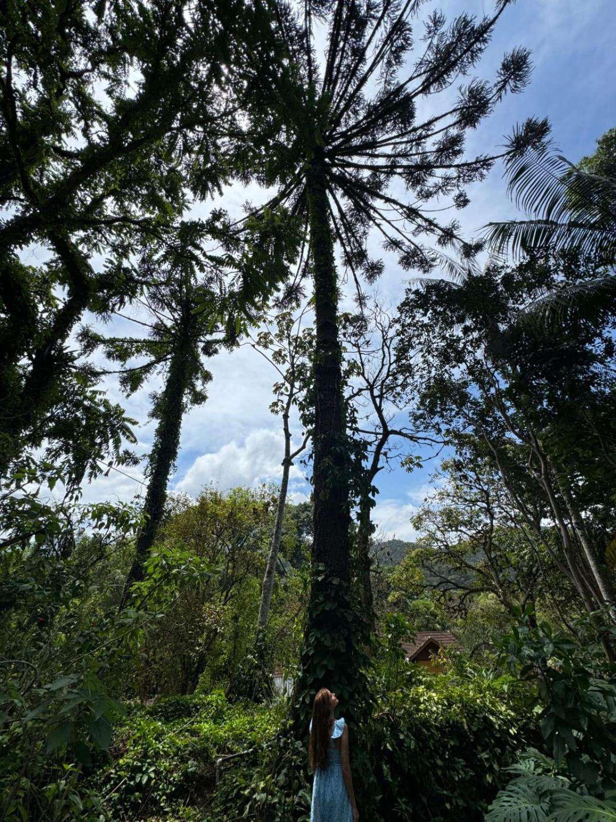 Pousada Olho D'Água Visconde De Maua Exterior foto